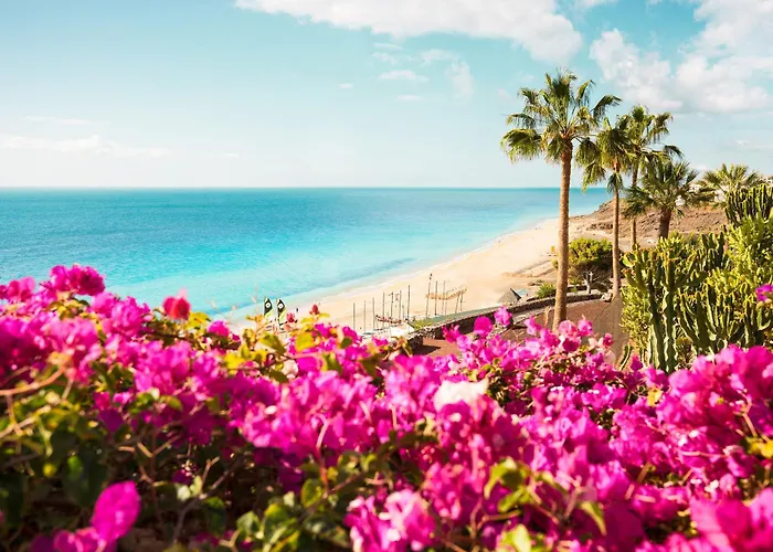 Robinson Esquinzo Playa Pájara